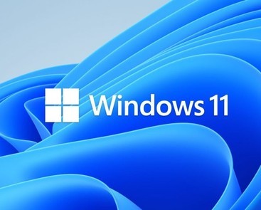Windows 11